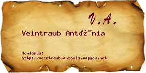Veintraub Antónia névjegykártya
