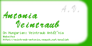 antonia veintraub business card